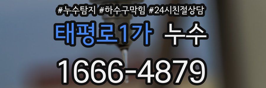 태평로1가 누수
