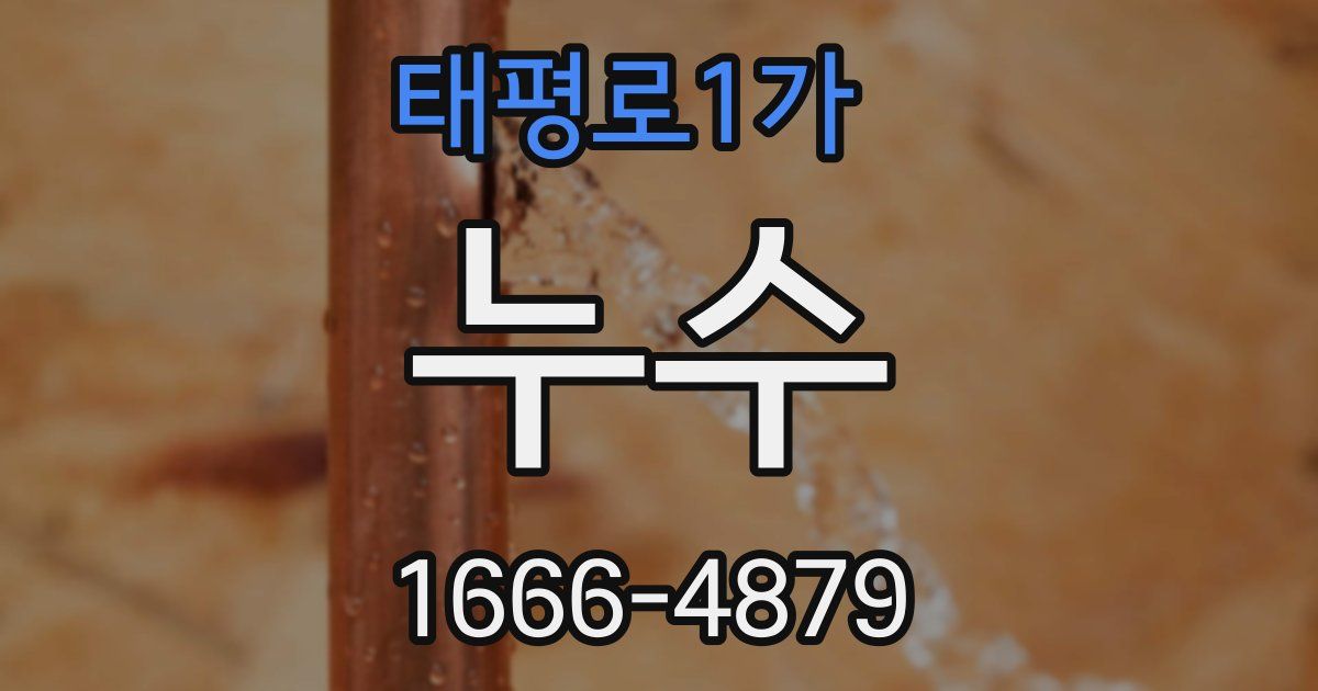 태평로1가 누수