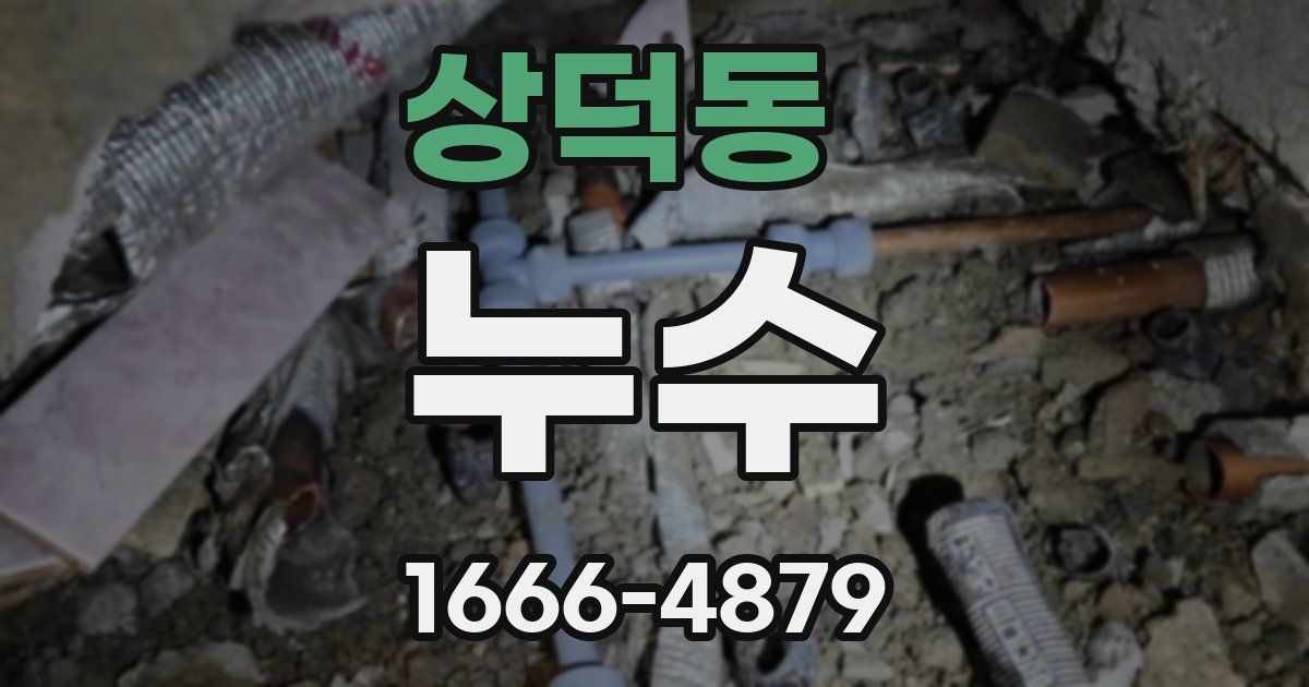 상덕동 누수