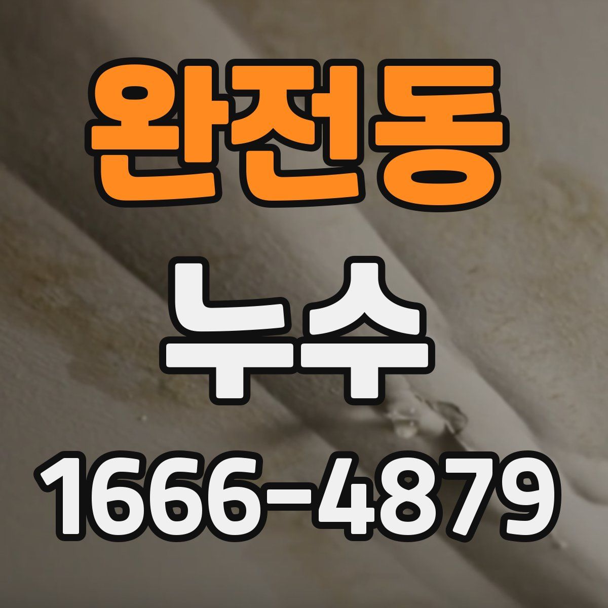 완전동 누수