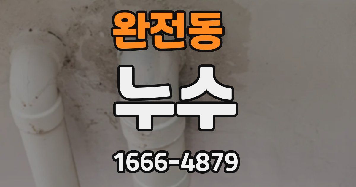 완전동 누수