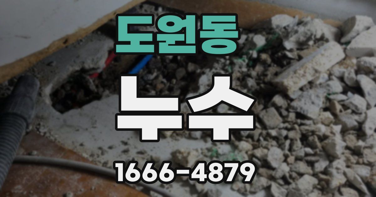 도원동 누수