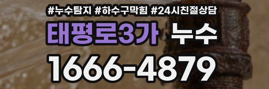 태평로3가 누수
