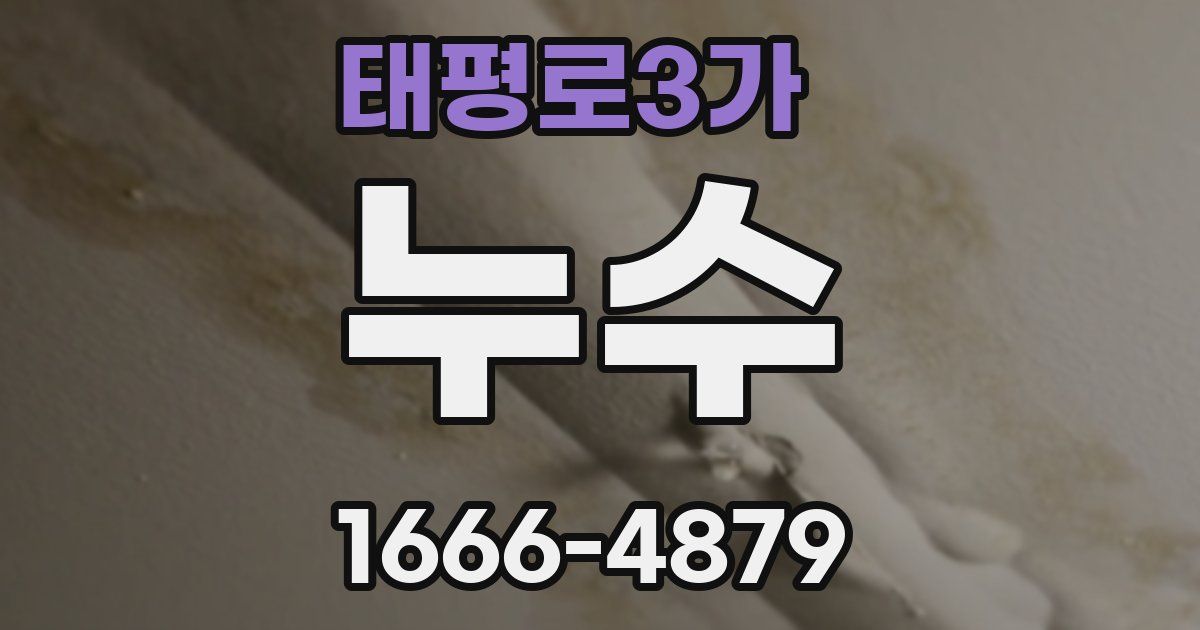태평로3가 누수