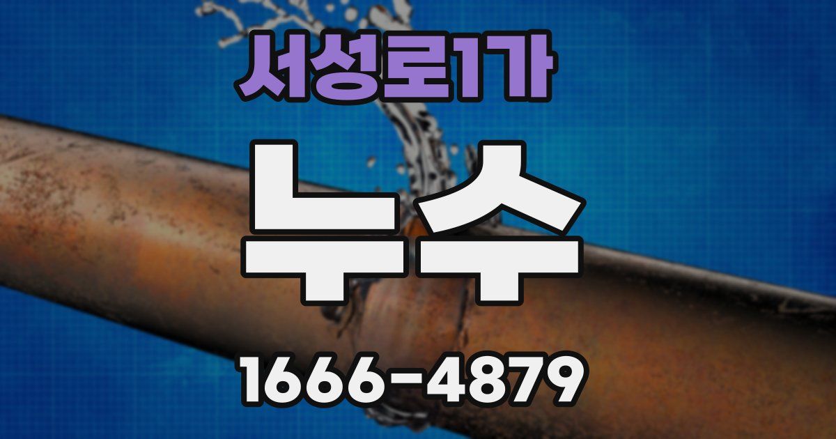 서성로1가 누수
