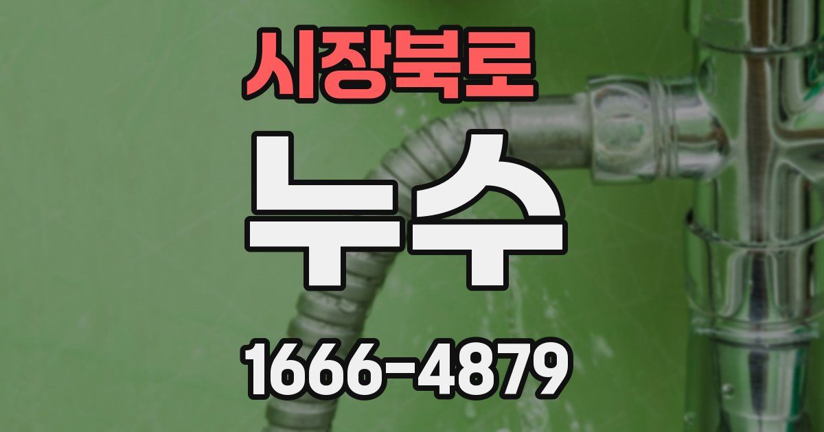 시장북로 누수