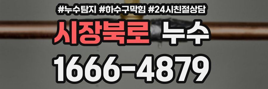 시장북로 누수
