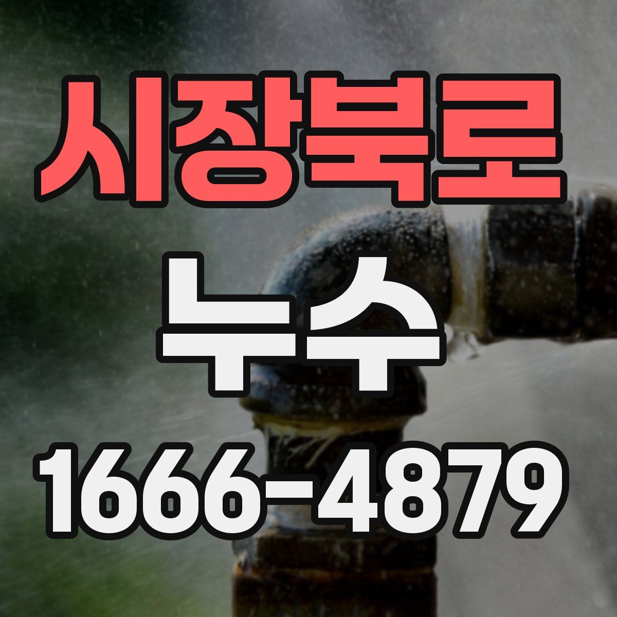 시장북로 누수