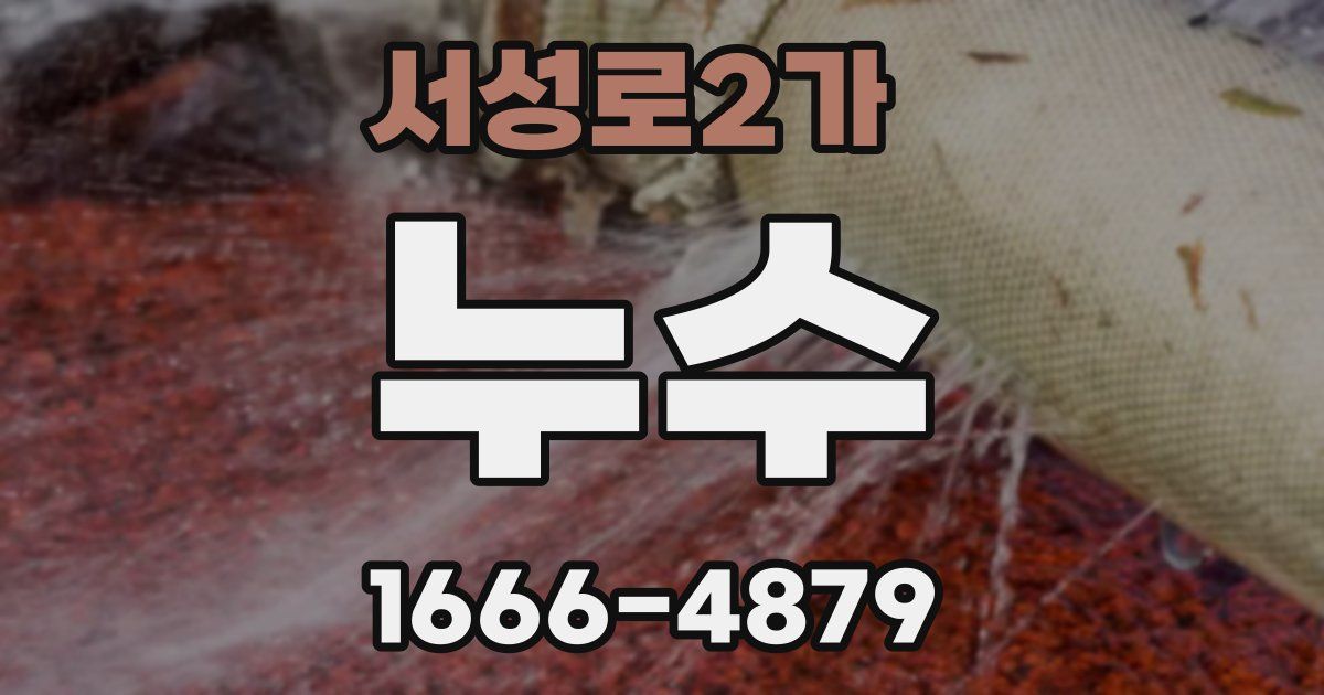 서성로2가 누수