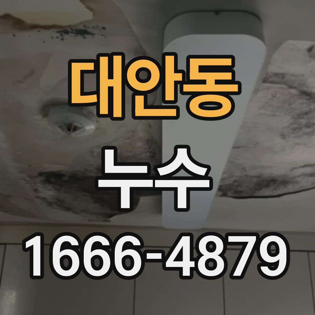 대안동 누수