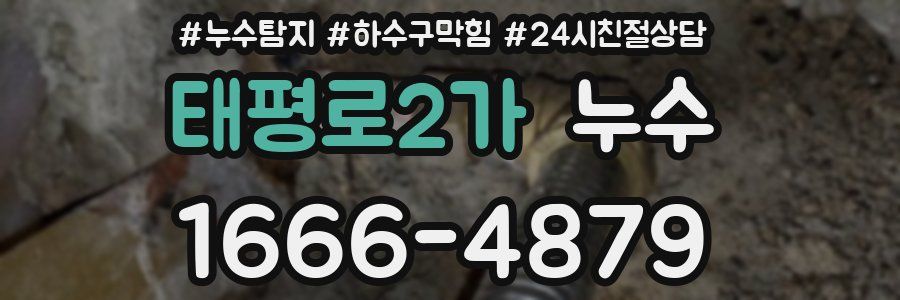 태평로2가 누수