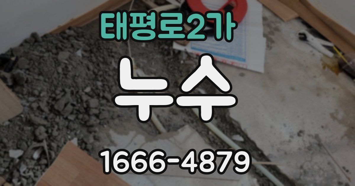 태평로2가 누수