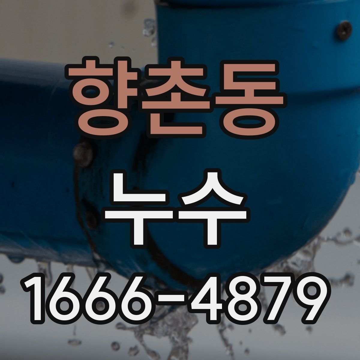 향촌동 누수