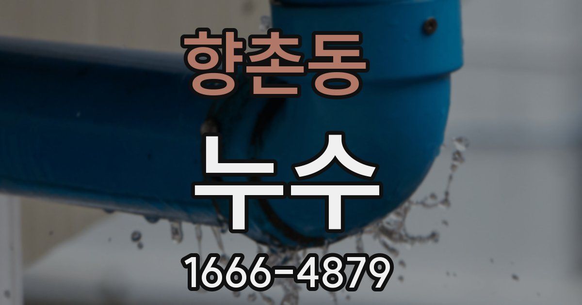 향촌동 누수