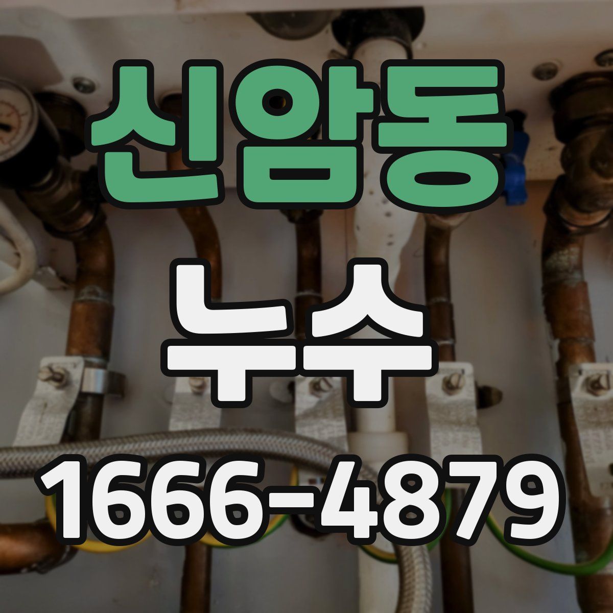 신암동 누수