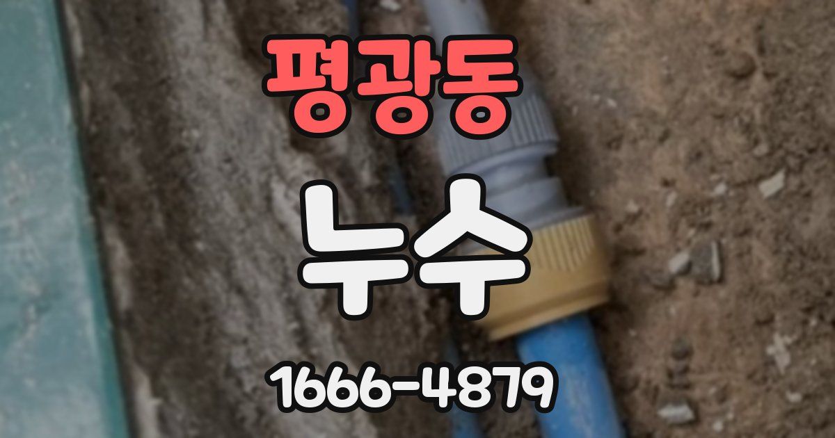 평광동 누수