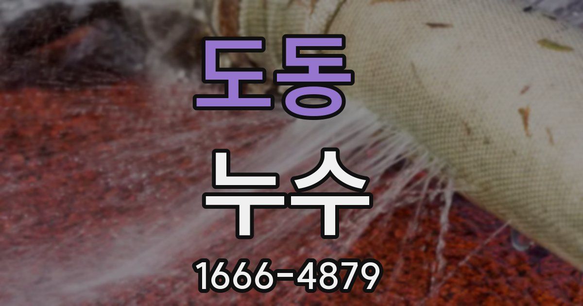 도동 누수