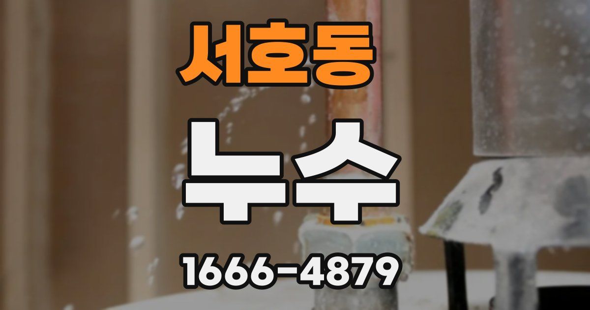 서호동 누수
