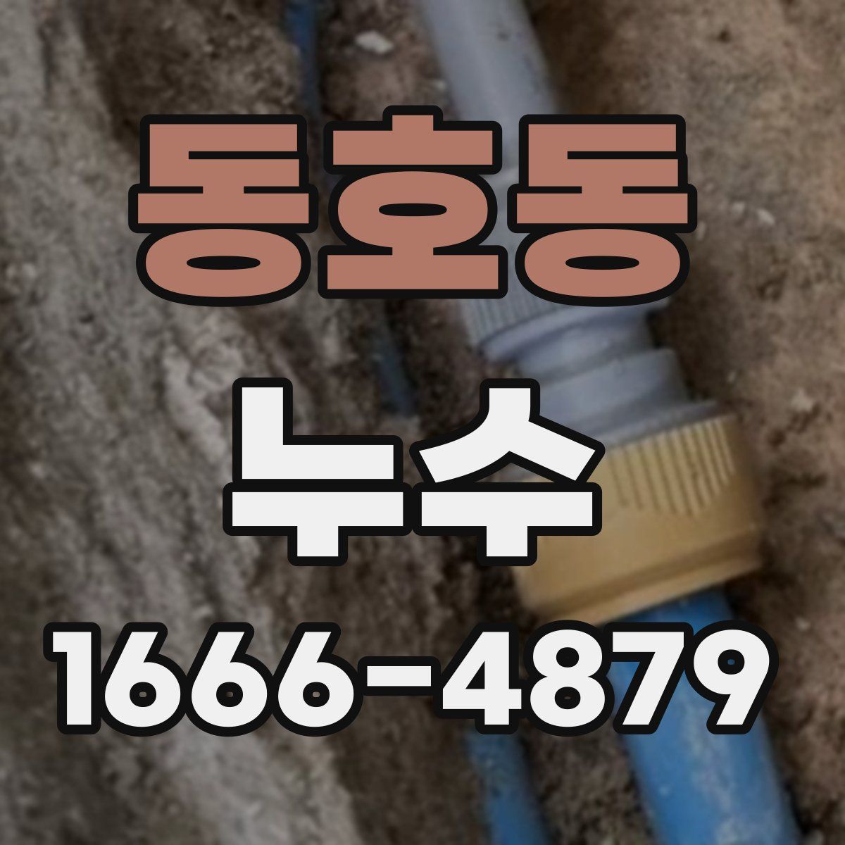 동호동 누수