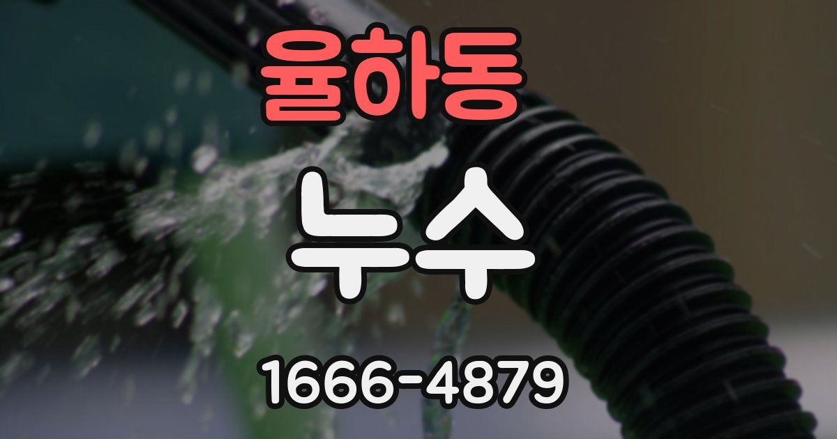 율하동 누수
