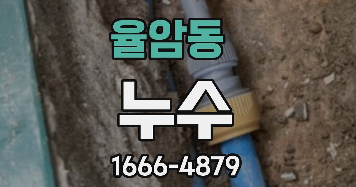 율암동 누수