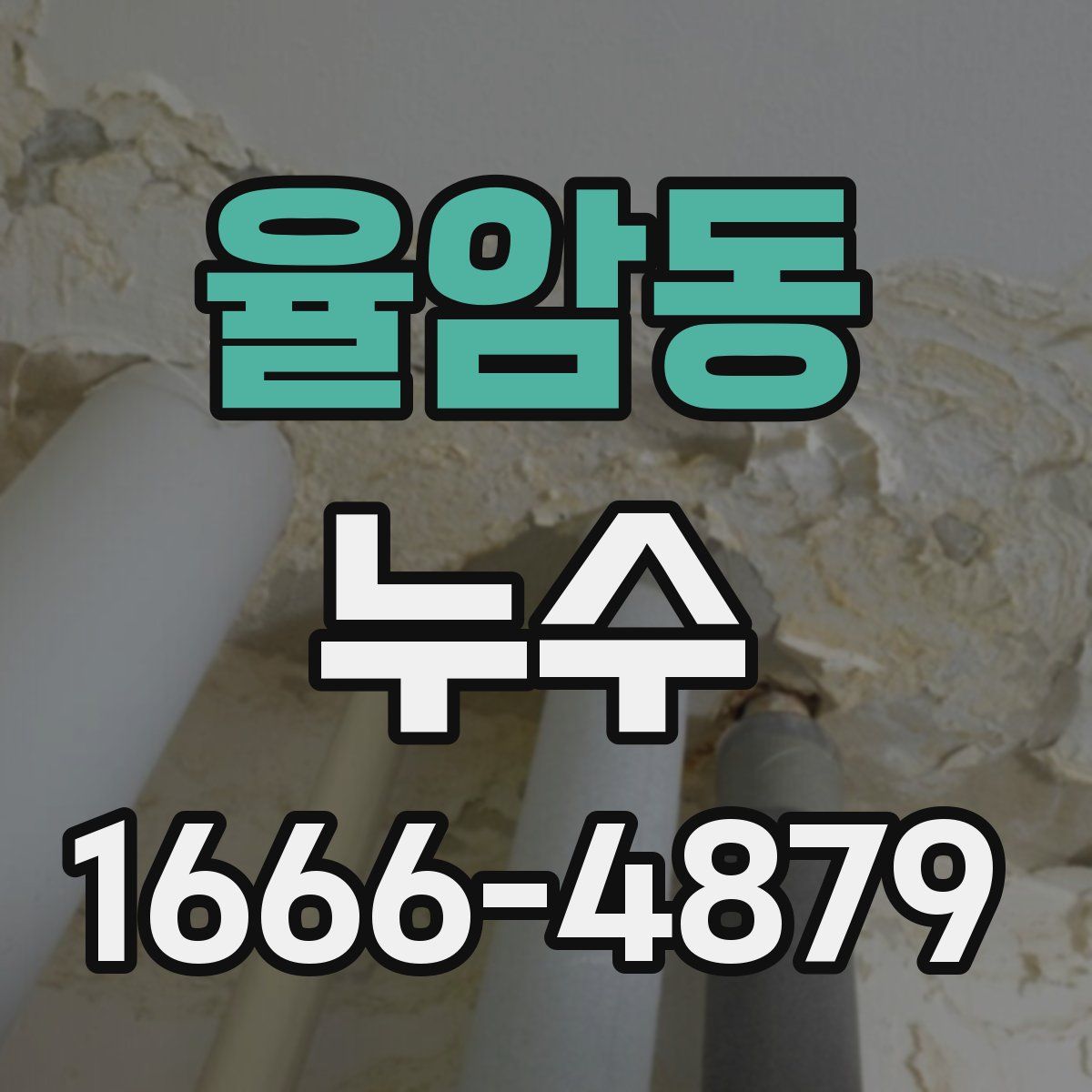 율암동 누수