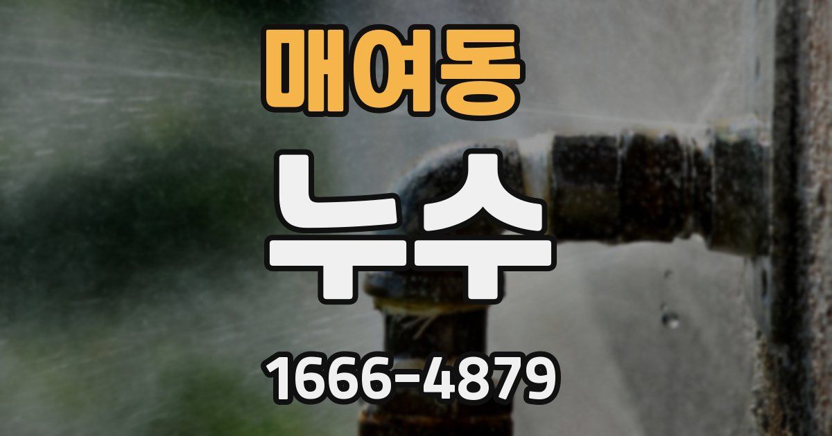 매여동 누수