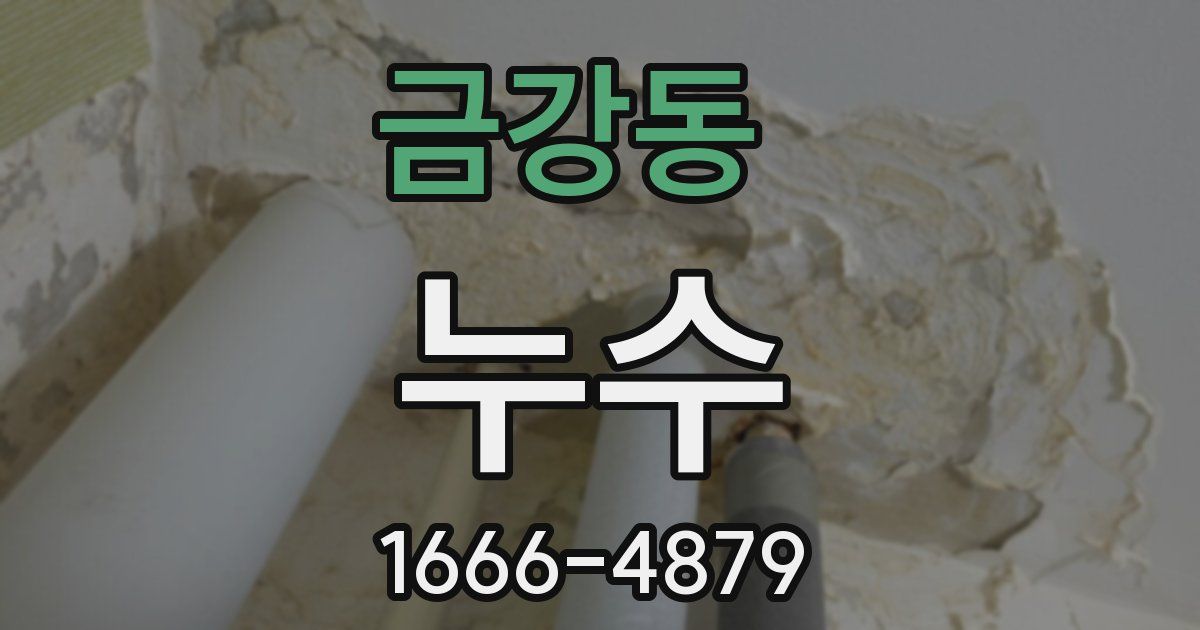 금강동 누수