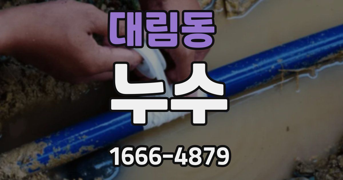 대림동 누수