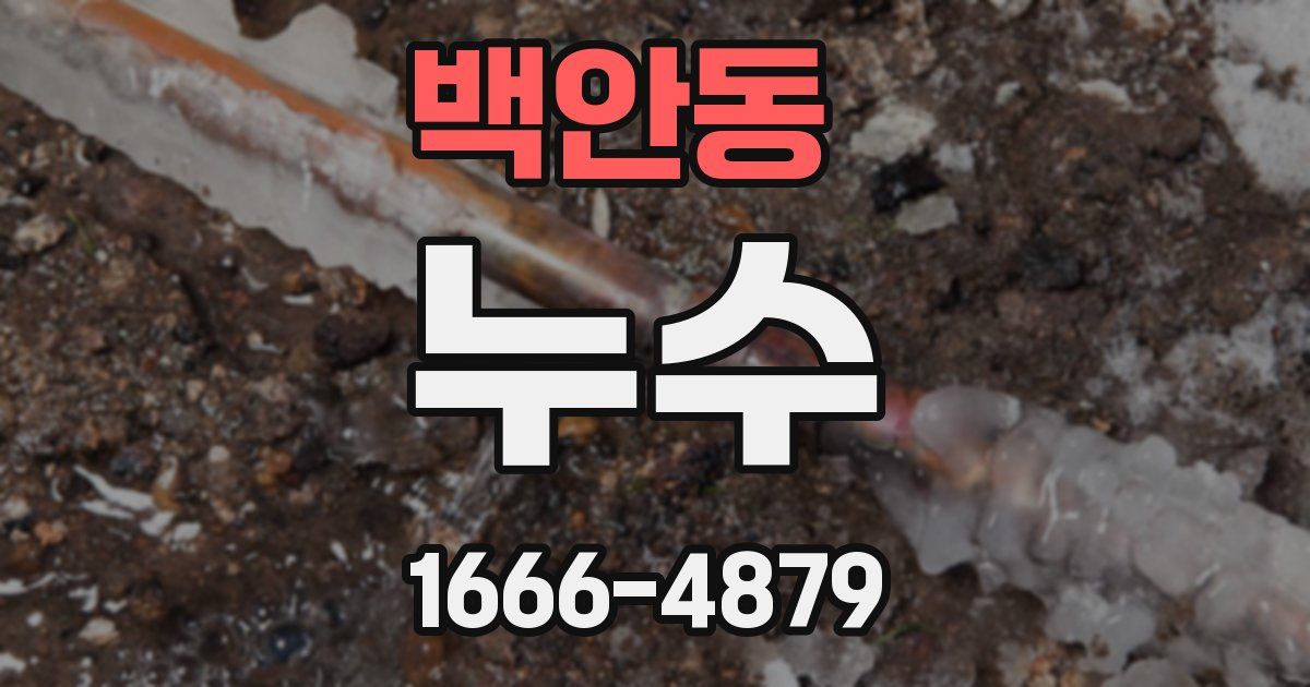 백안동 누수