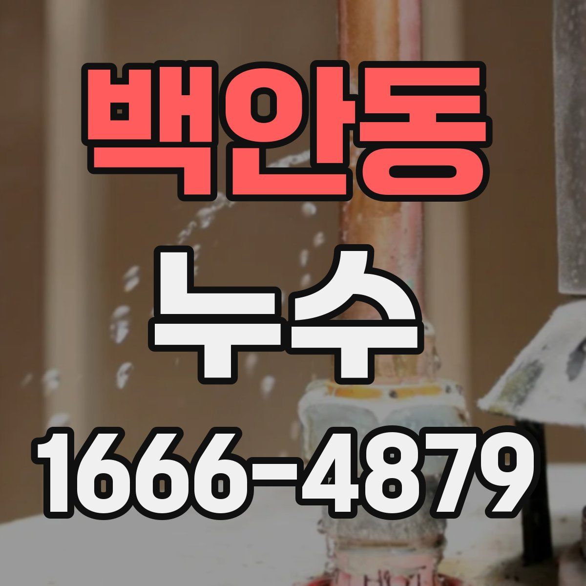 백안동 누수