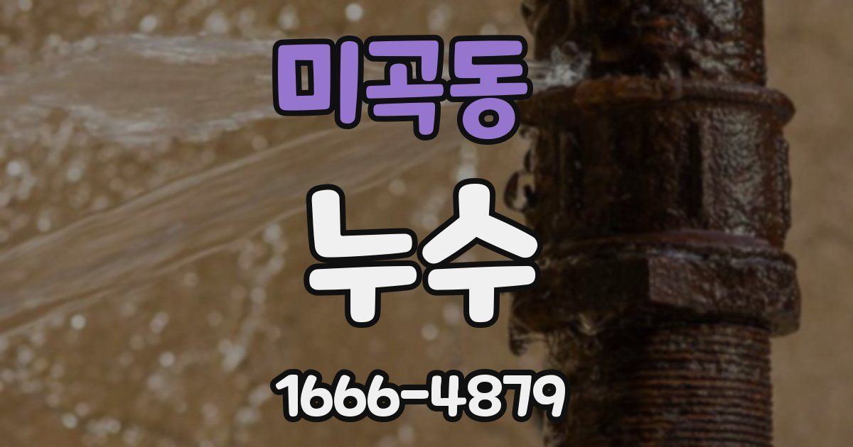 미곡동 누수