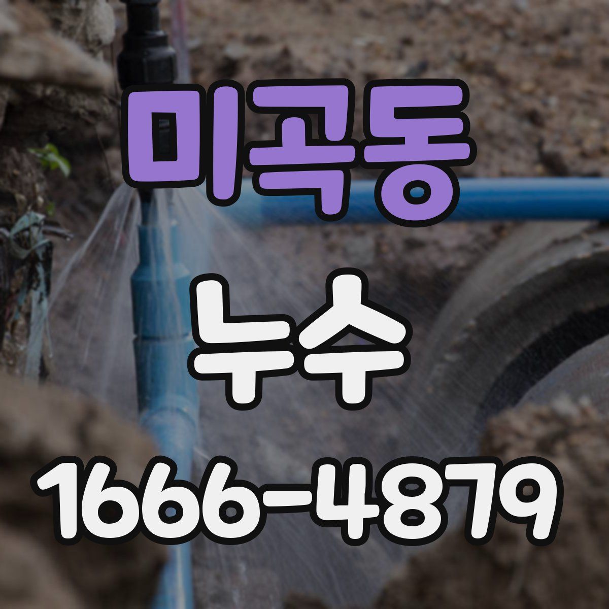 미곡동 누수