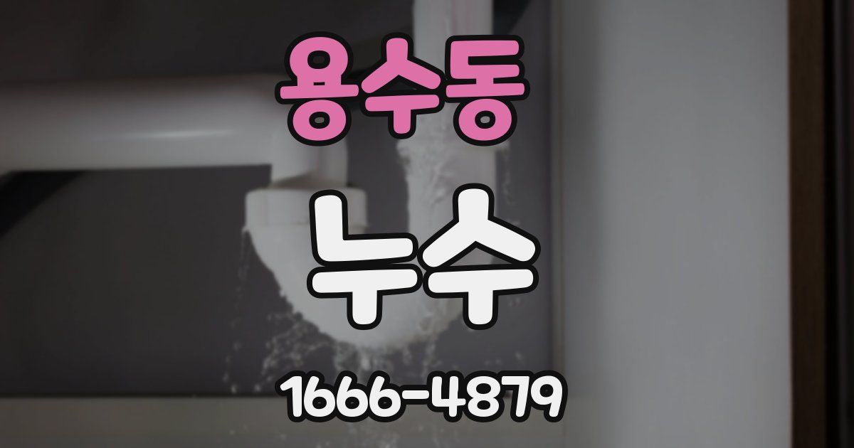 용수동 누수