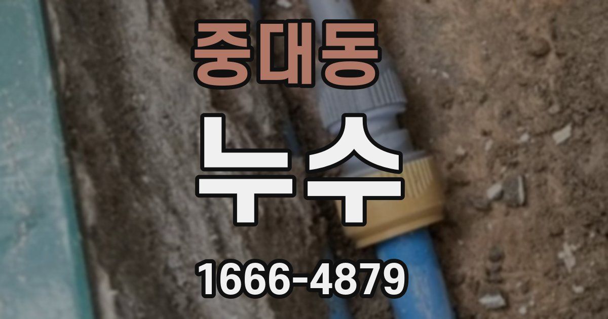중대동 누수