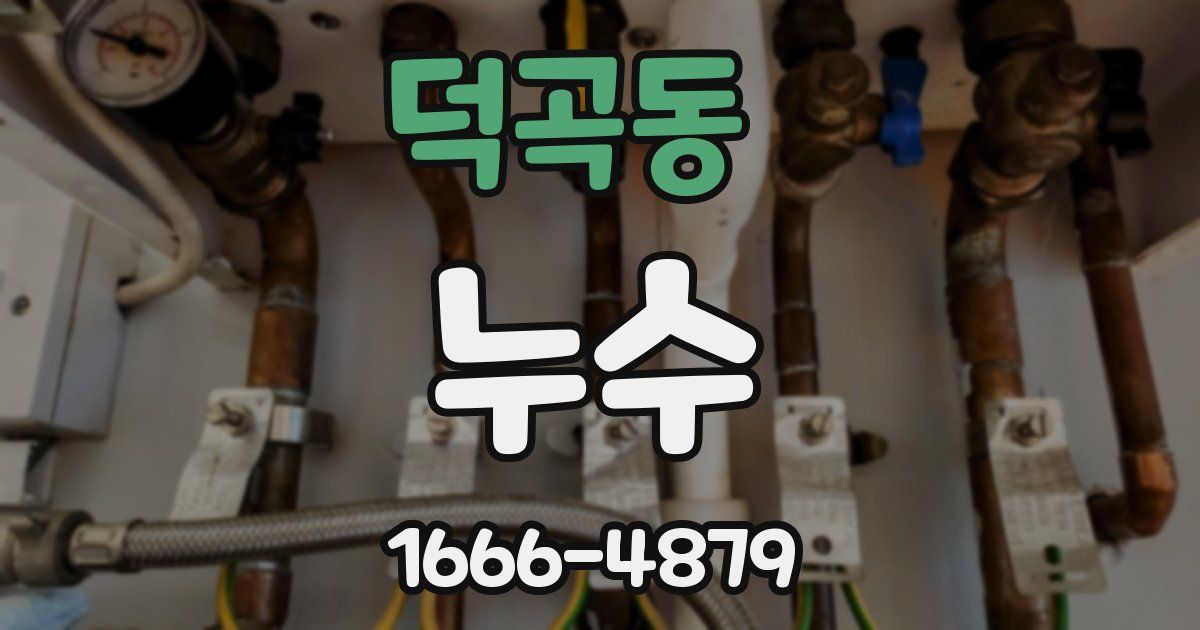 덕곡동 누수
