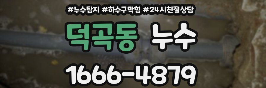 덕곡동 누수