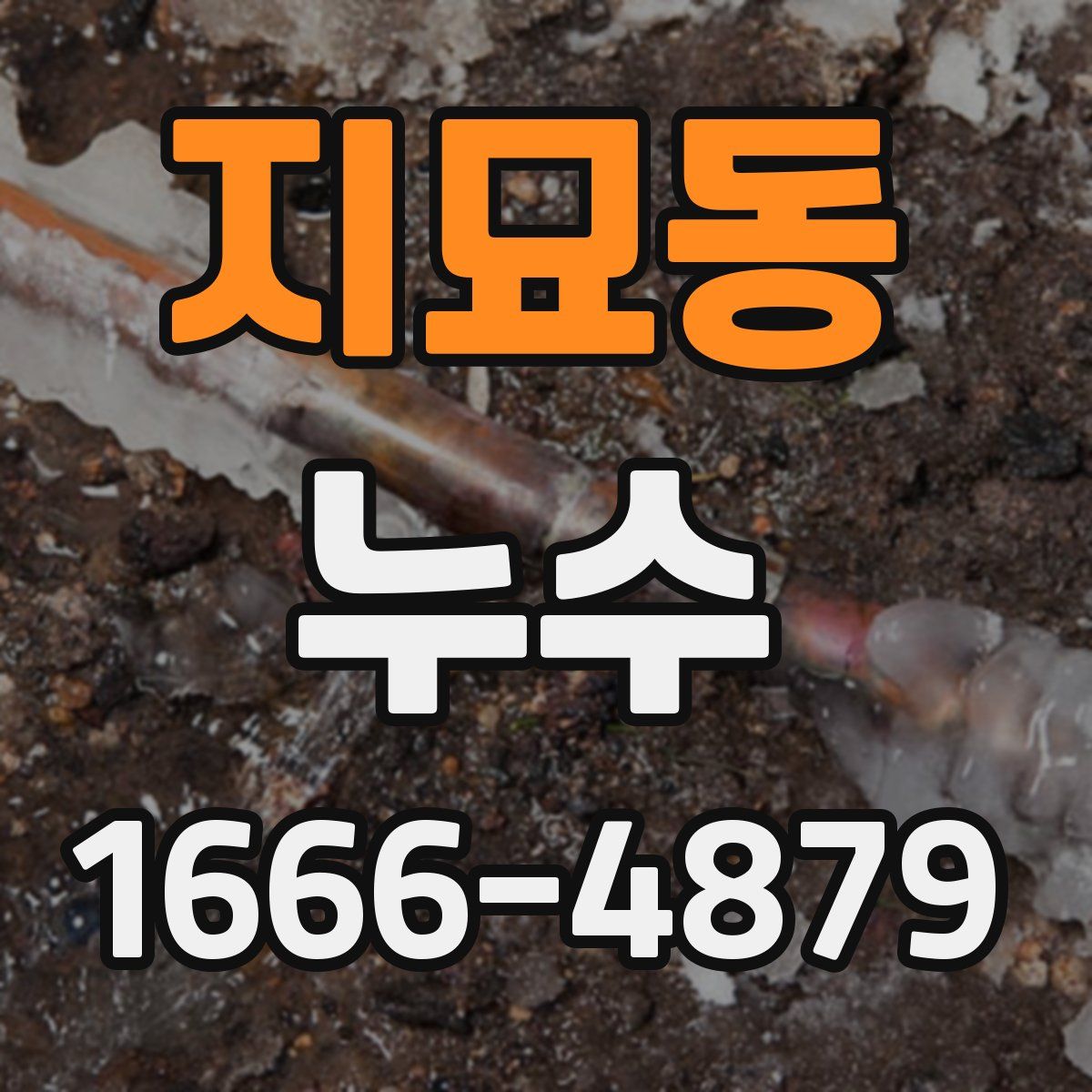 지묘동 누수