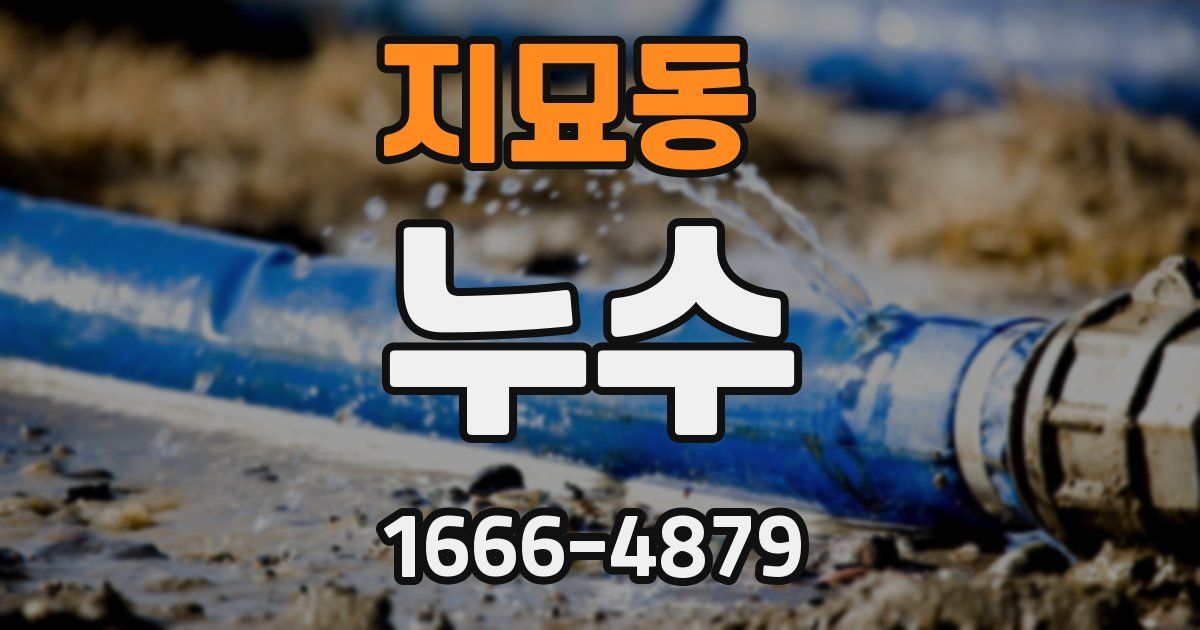지묘동 누수