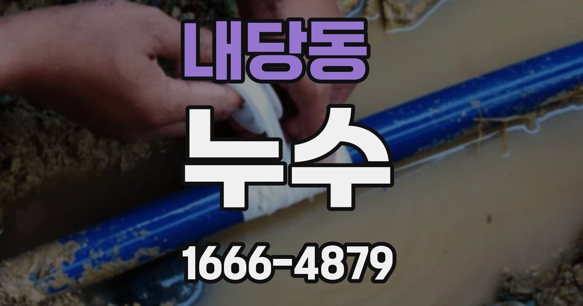 내당동 누수