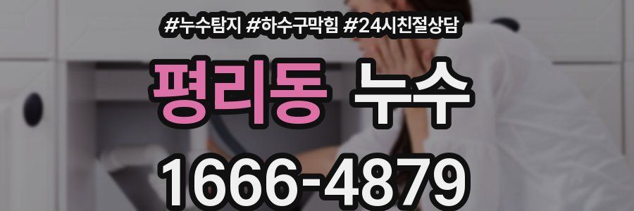 평리동 누수