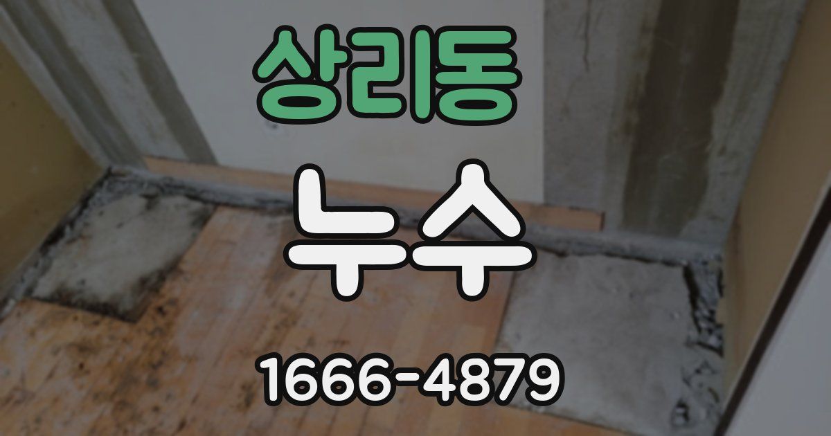 상리동 누수