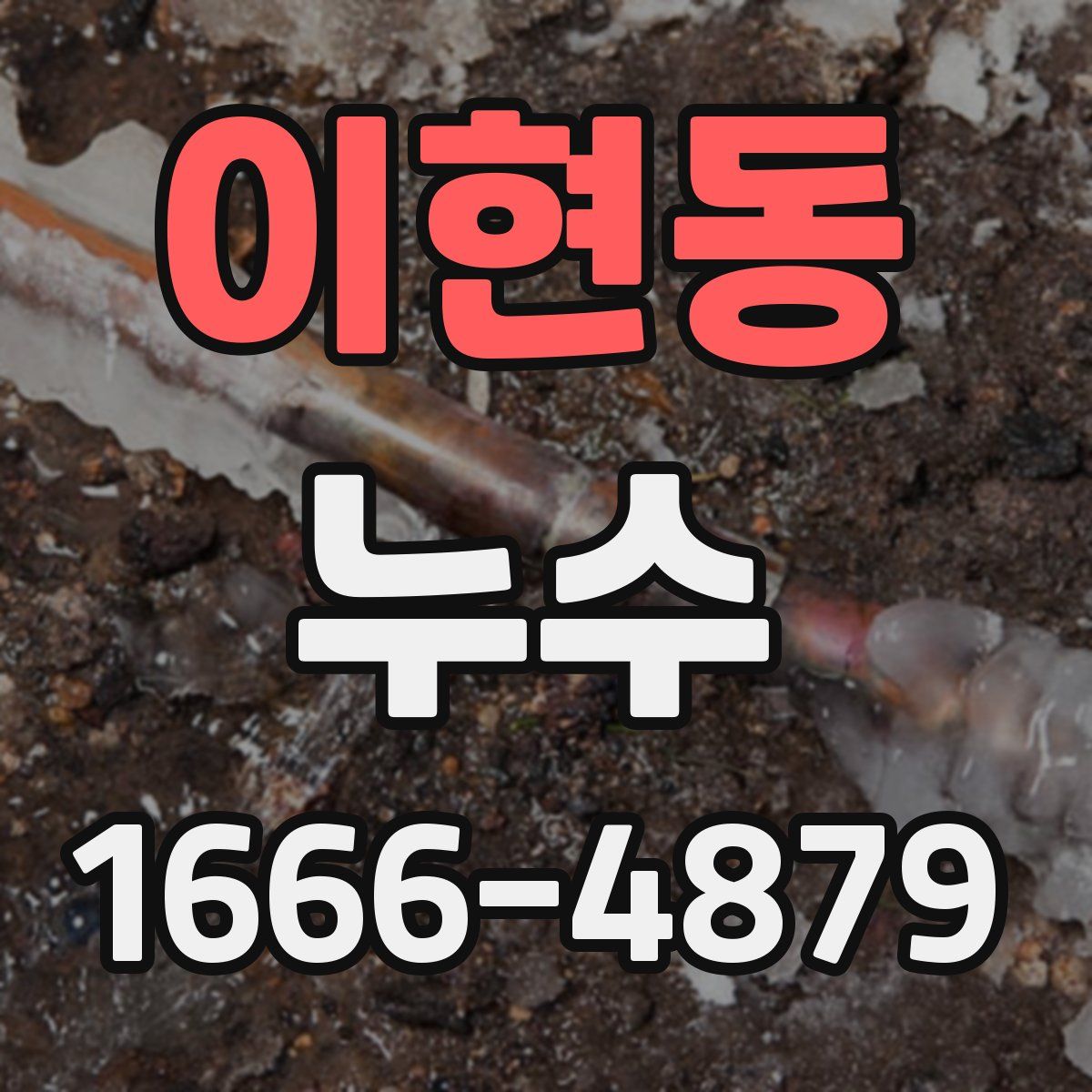 이현동 누수