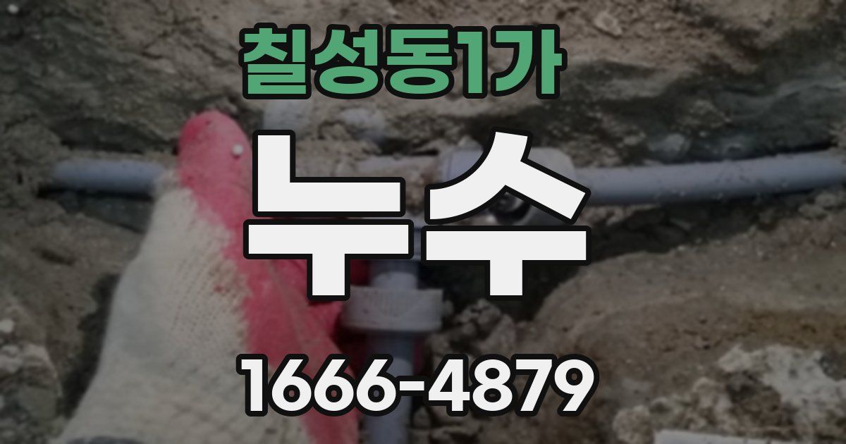 칠성동1가 누수