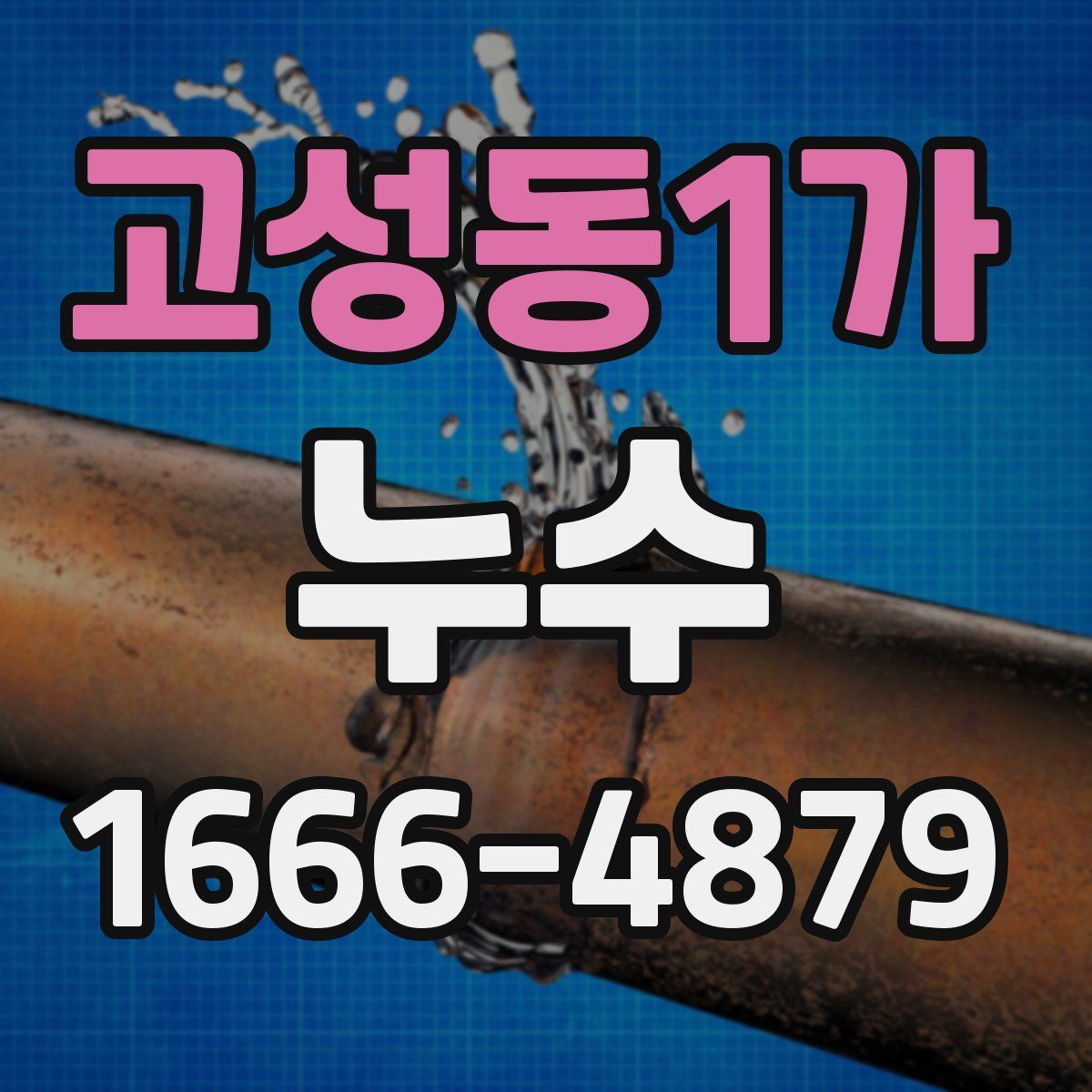 고성동1가 누수