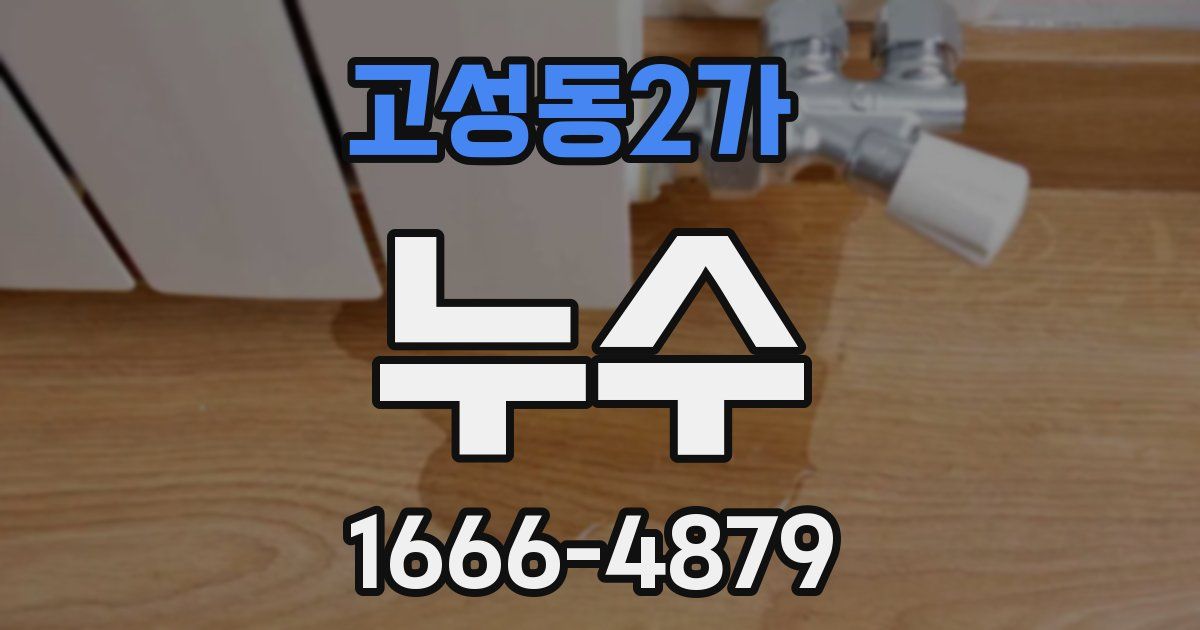 고성동2가 누수