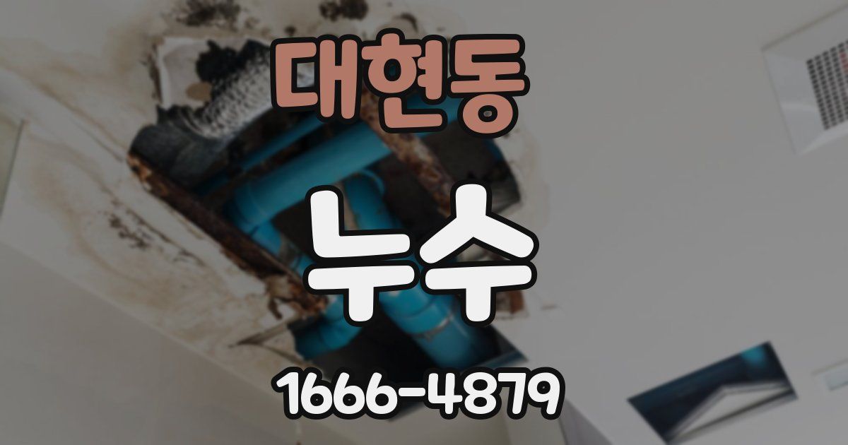 대현동 누수