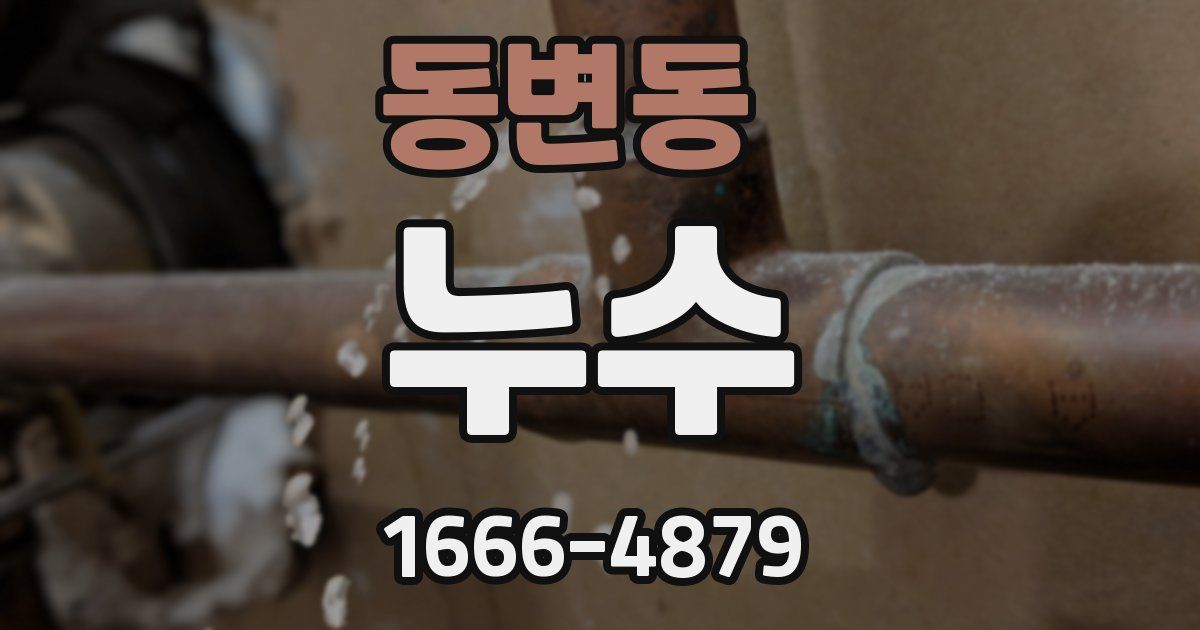동변동 누수
