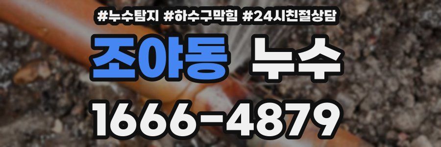조야동 누수