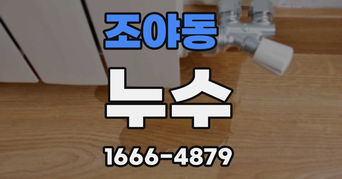 조야동 누수